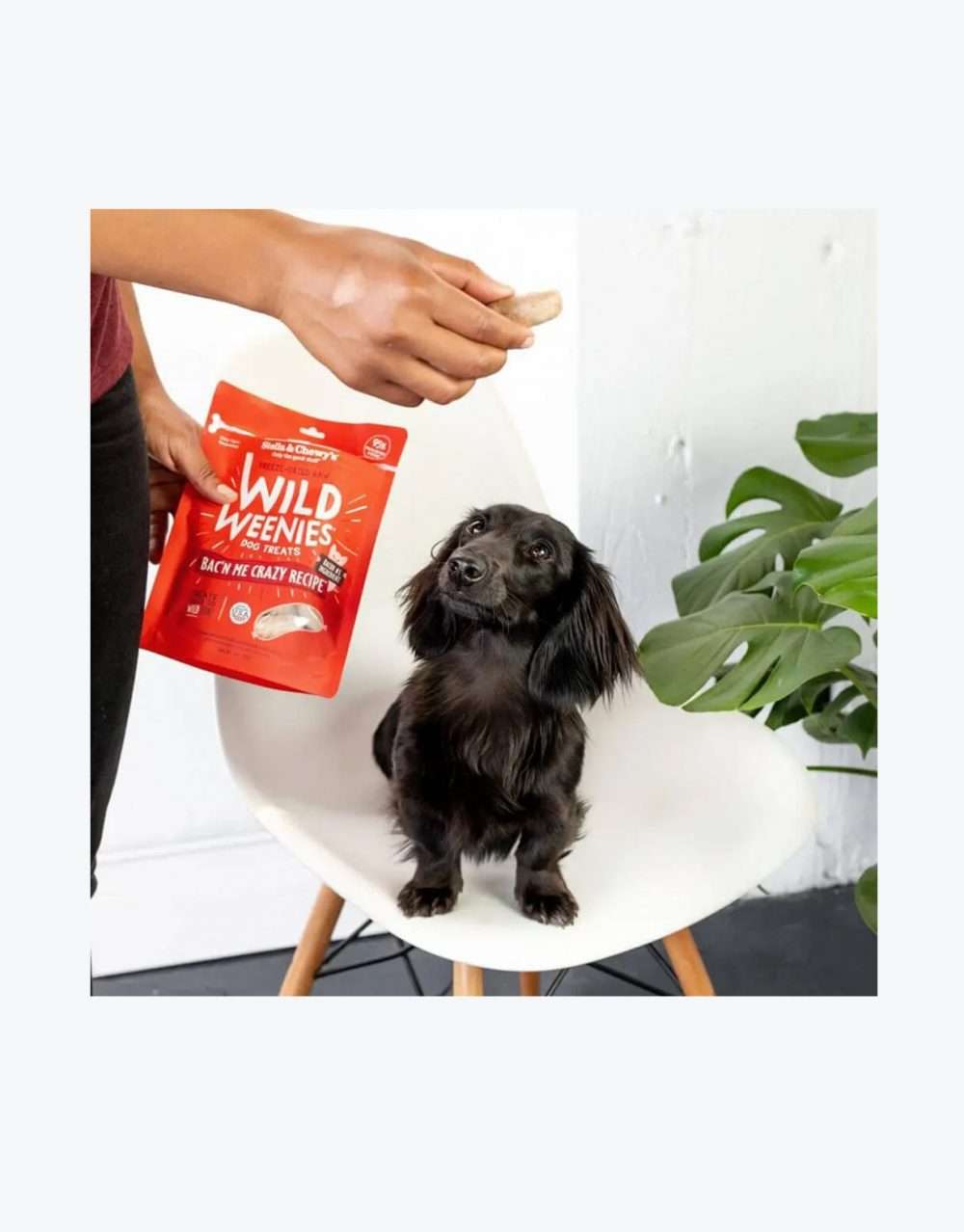 Stella & Chewy's Wild Weenies Bac’n Me Crazy Recipe