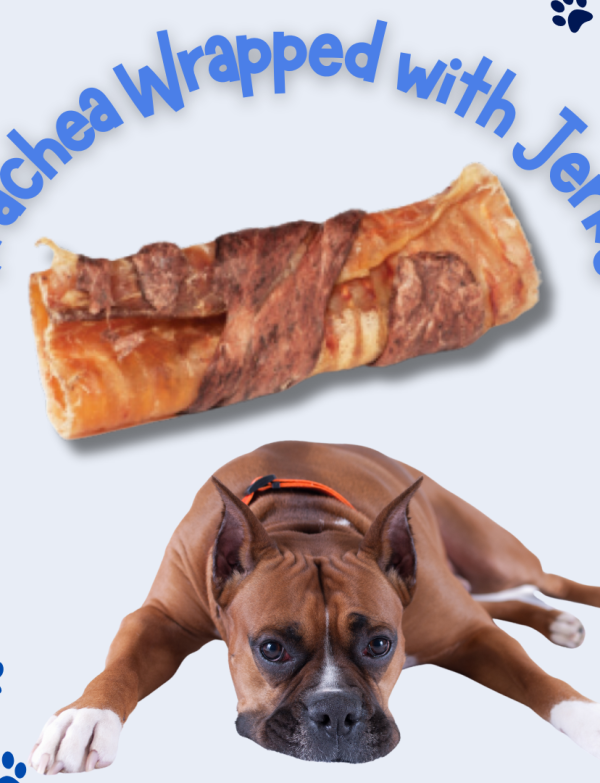 Trachea Wrapped with Jerky