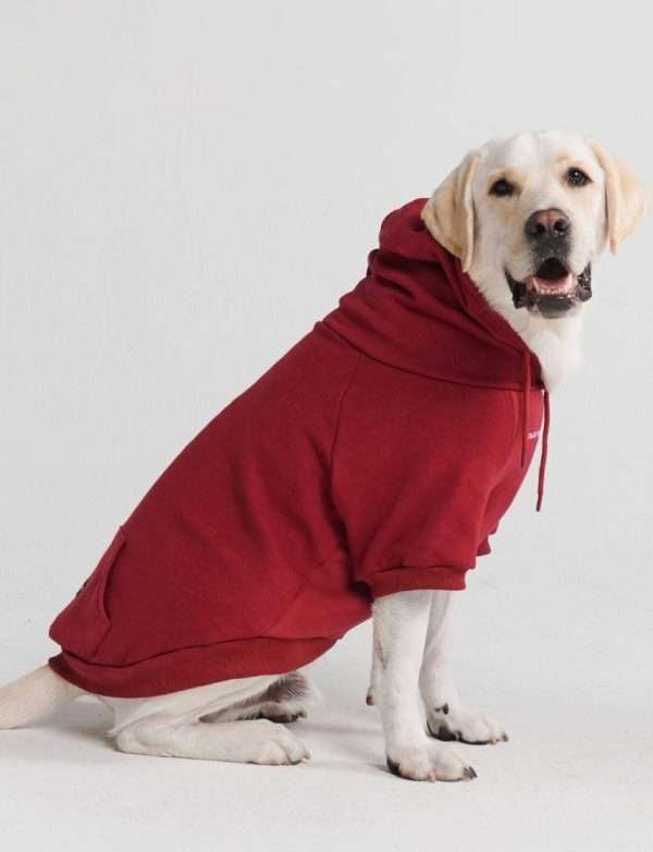 Spark Paws - Essential Dog Hoodie - Burgundy: M