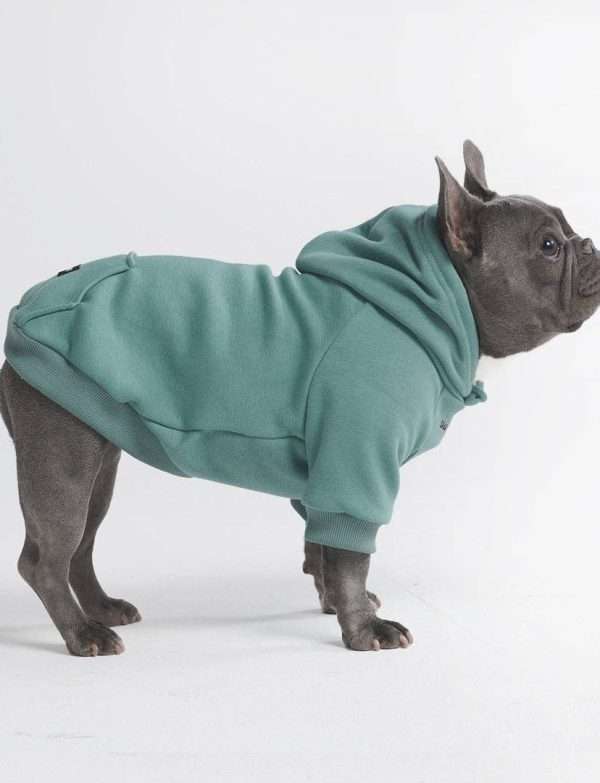 Spark Paws - Essential Dog Hoodie - Teal: 2XL