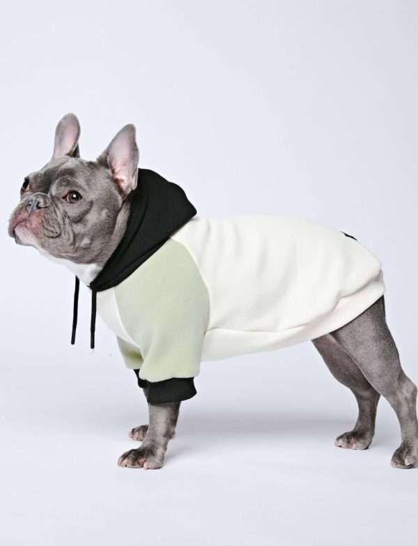 Spark Paws - Olive Cream Dog Hoodie