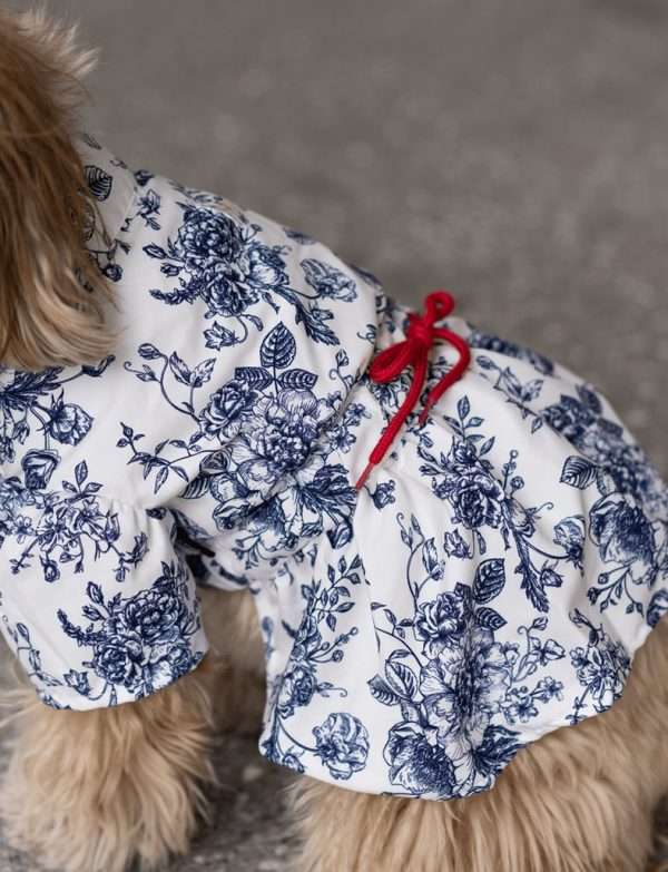 Silver Paw Brigette Floral dress