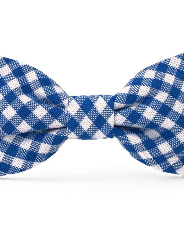 The Foggy Dog - Lake Blue Gingham Dog Bow Tie