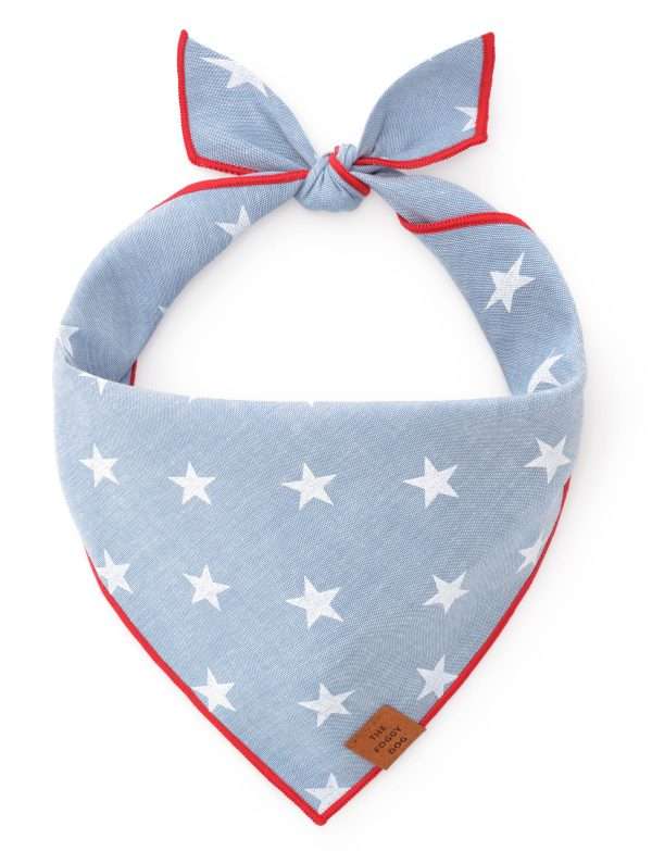 The Foggy Dog - Liberty Summer Dog Bandana