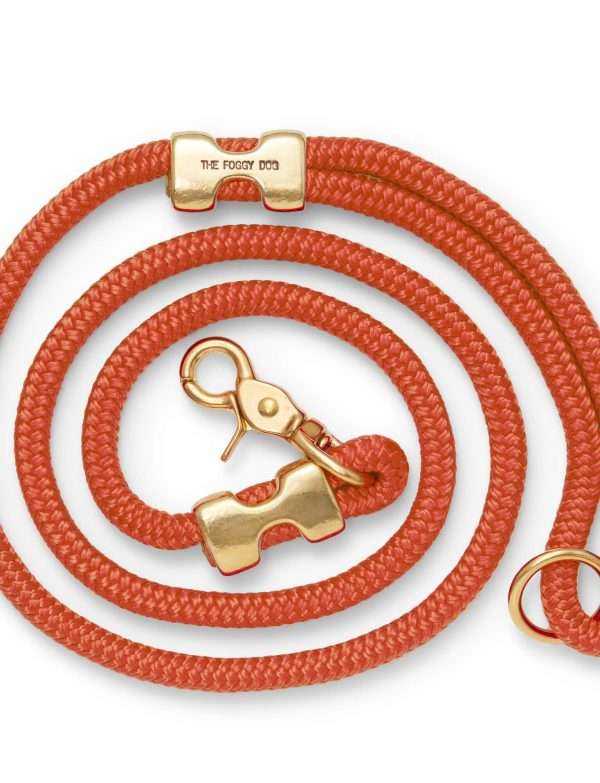 The Foggy Dog - Cider Marine Rope Dog Leash