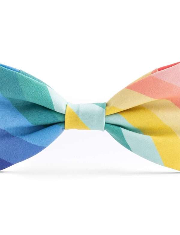 The Foggy Dog - Over the Rainbow St. Patrick's Day Dog Bow Tie