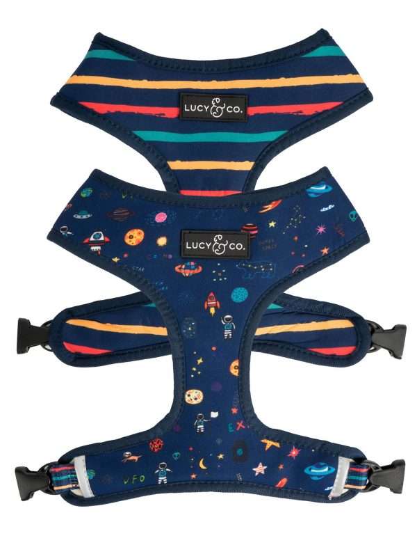 Space Doodle Reversible Harness