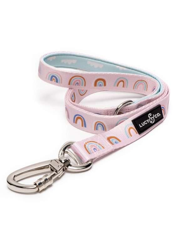 Rainbow Leash- "In The In the Clouds" Leash