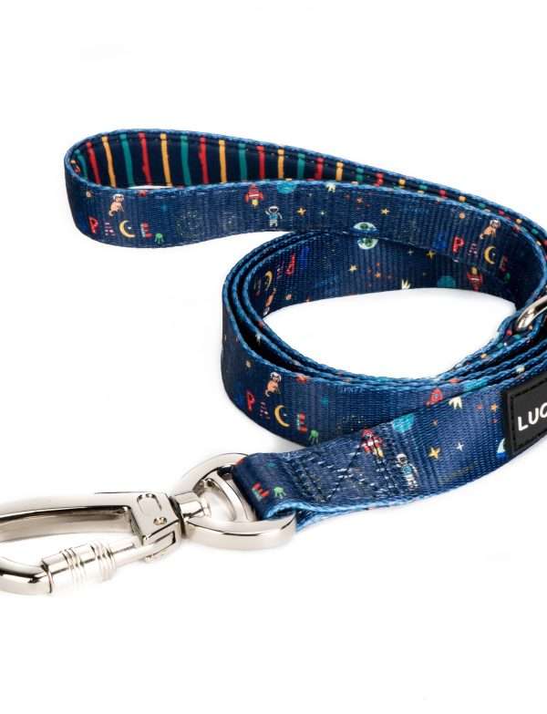 Space Doodle Matching Leash