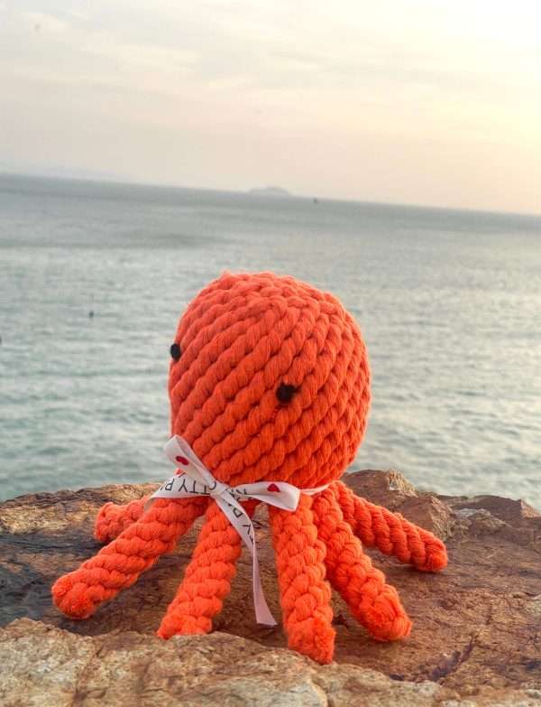 Ocean Pals Rope Toys: Octopus