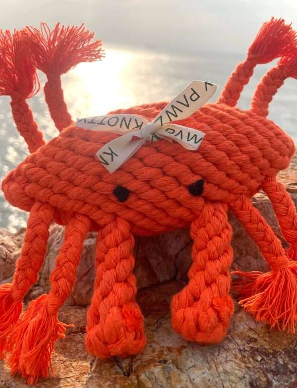 Ocean Pals Rope Toys: Happy The Crap