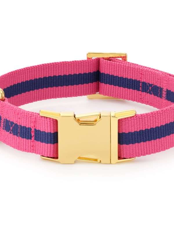 The Foggy Dog - Sloane Striped Webbing Dog Collar: M - 14-19”