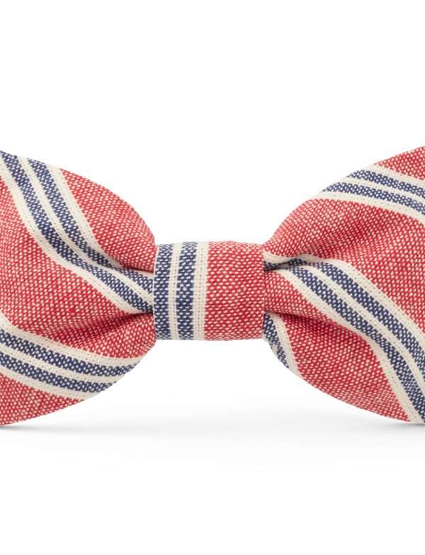 The Foggy Dog - Nantucket Stripe Dog Bow Tie: Small